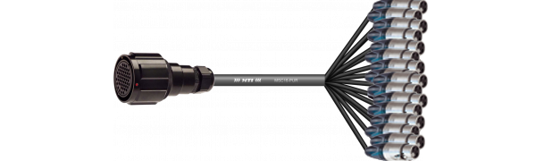 Spliss-Adapter, 16x Neutrik XLR-female, TL54 fem. mit Ü-Mutter, PUR, 2,5 m