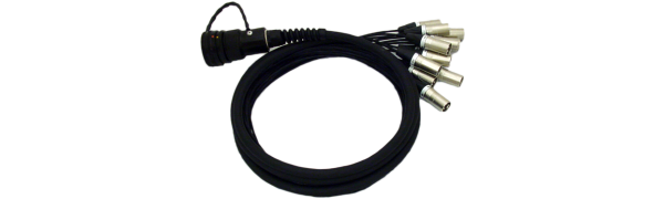 DMX-Spliss-Adapter,TL37 male 12x XLR 5pol.male, PUR, 2,5 m