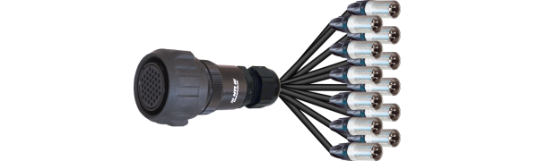 Spliss-Adapter, 12x XLR-male, TL37 female, 1,0 m