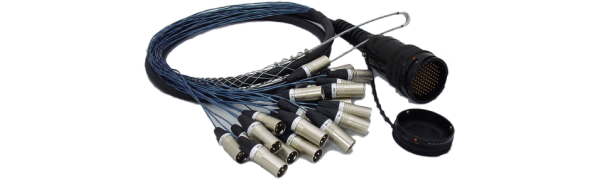 Spliss-Adapter, 12x XLR-male/4x XLR-fem., TL54 male, PUR, 2,5 m