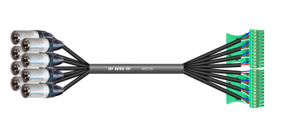 MTI Analog-Output-Loom, 8x XLR-male/2x Phoenix 12p.