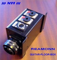 Reamonn Guitar Floor Box